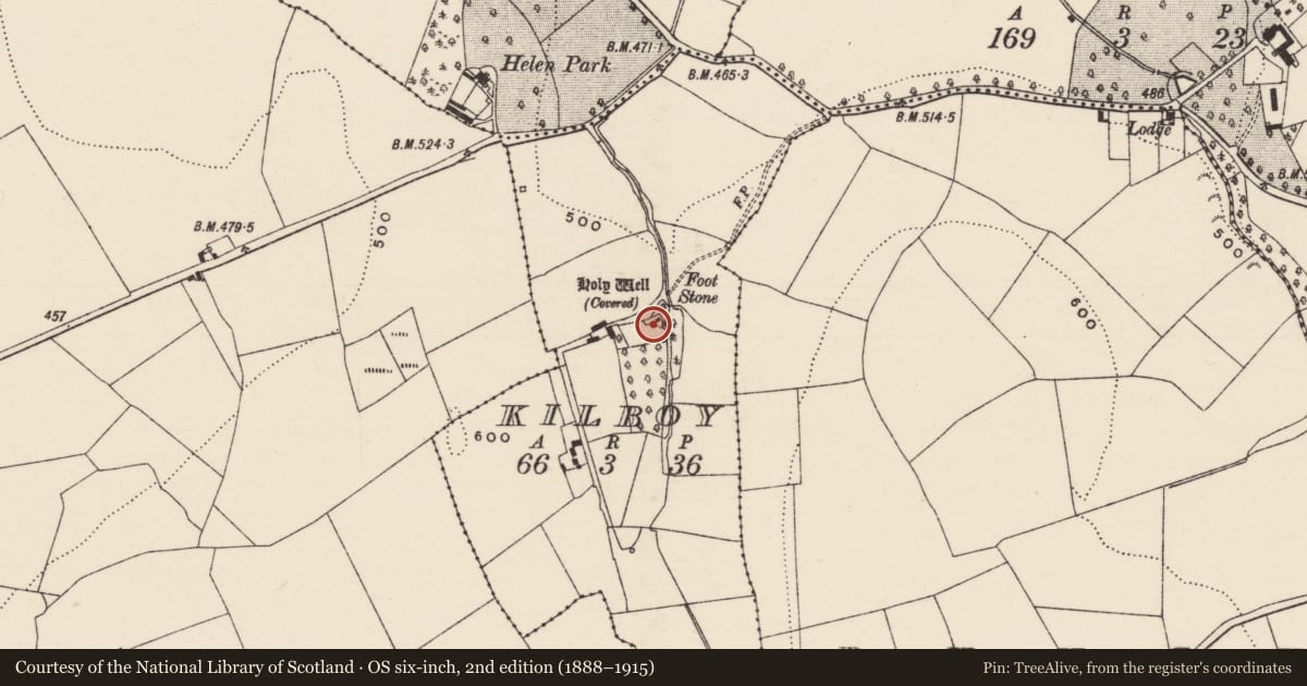 Ordnance Survey six-inch map, 2nd edition (1888–1915) covering the location of Tomb - chest tomb, Kilboy (Graystown Par.), County Tipperary South, with a pin at the register's coordinates