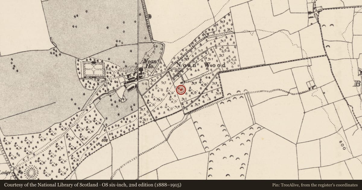 Ordnance Survey six-inch map, 2nd edition (1888–1915) covering the location of Ringfort - rath, Noan, County Tipperary South, with a pin at the register's coordinates