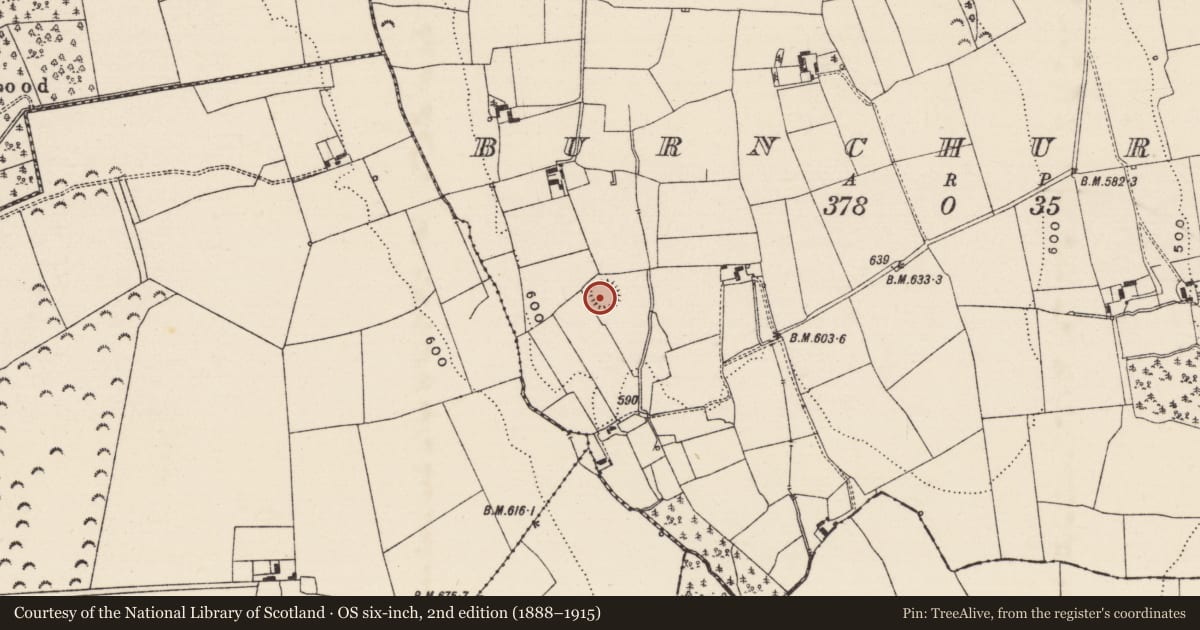 Ordnance Survey six-inch map, 2nd edition (1888–1915) covering the location of Ringfort - rath, Burnchurch, County Tipperary South, with a pin at the register's coordinates
