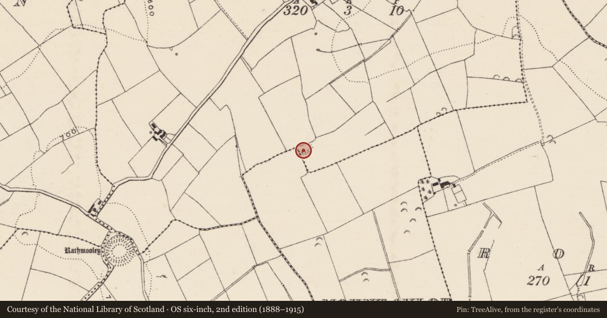Ordnance Survey six-inch map, 2nd edition (1888–1915) covering the location of Ringfort - rath, Dunguib (Killenaule Par.), Mountaylor, County Tipperary South, with a pin at the register's coordinates