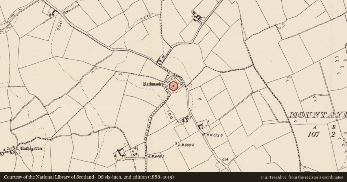 Ordnance Survey six-inch map, 2nd edition (1888–1915) covering the location of Ringfort - rath, Rathmooley, County Tipperary South, with a pin at the register's coordinates