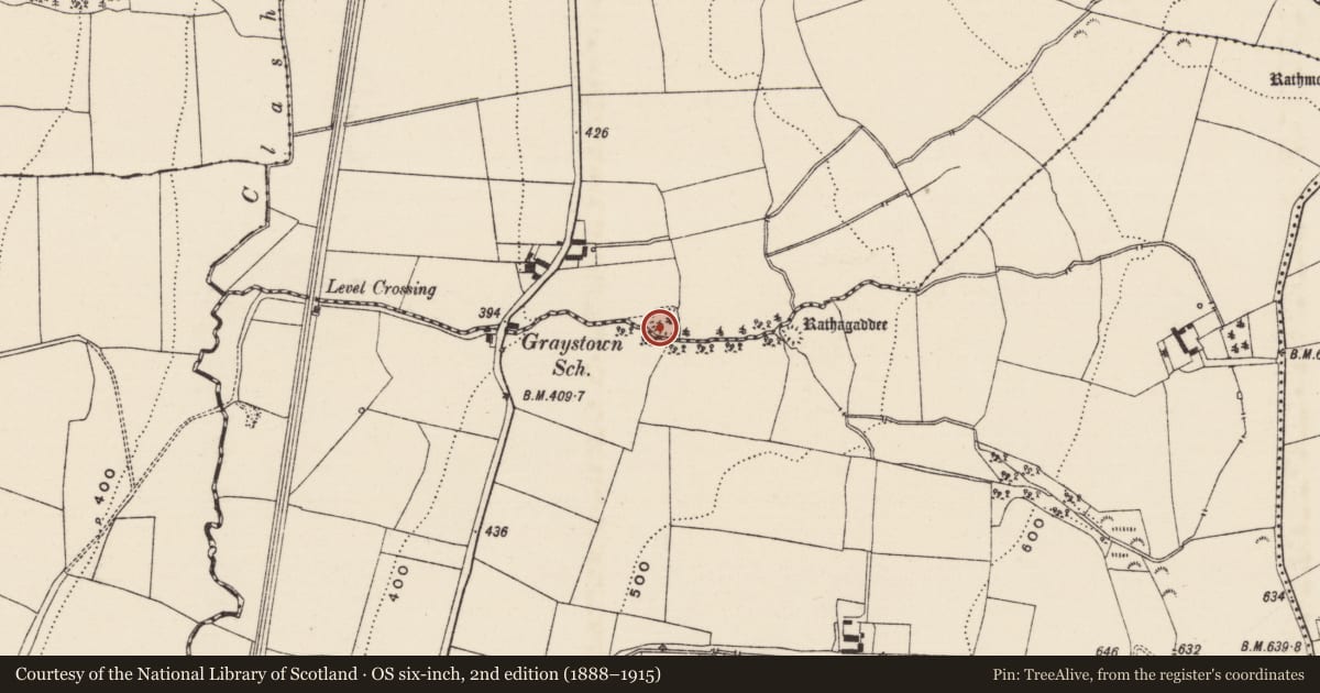 Ordnance Survey six-inch map, 2nd edition (1888–1915) covering the location of Ringfort - rath, Cathaganstown, Graystown, County Tipperary South, with a pin at the register's coordinates