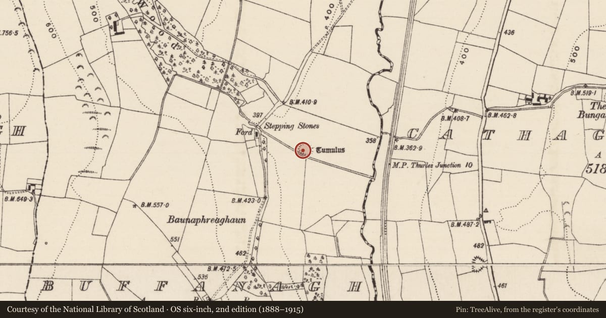 Ordnance Survey six-inch map, 2nd edition (1888–1915) covering the location of Burial mound, Buffanagh, County Tipperary South, with a pin at the register's coordinates