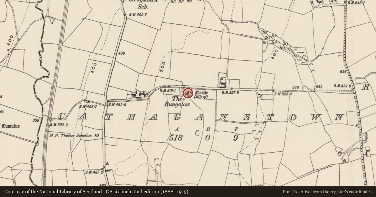 Ordnance Survey six-inch map, 2nd edition (1888–1915) covering the location of Castle - unclassified, Cathaganstown, County Tipperary South, with a pin at the register's coordinates
