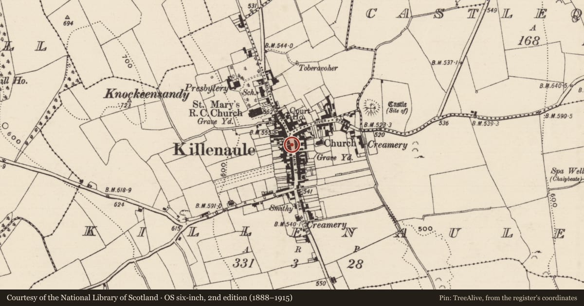 Ordnance Survey six-inch map, 2nd edition (1888–1915) covering the location of Historic town, County Tipperary South, with a pin at the register's coordinates