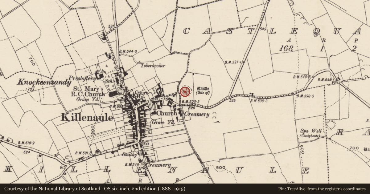 Ordnance Survey six-inch map, 2nd edition (1888–1915) covering the location of Castle - motte and bailey, Castlequarter (Killenaule Par.), County Tipperary South, with a pin at the register's coordinates