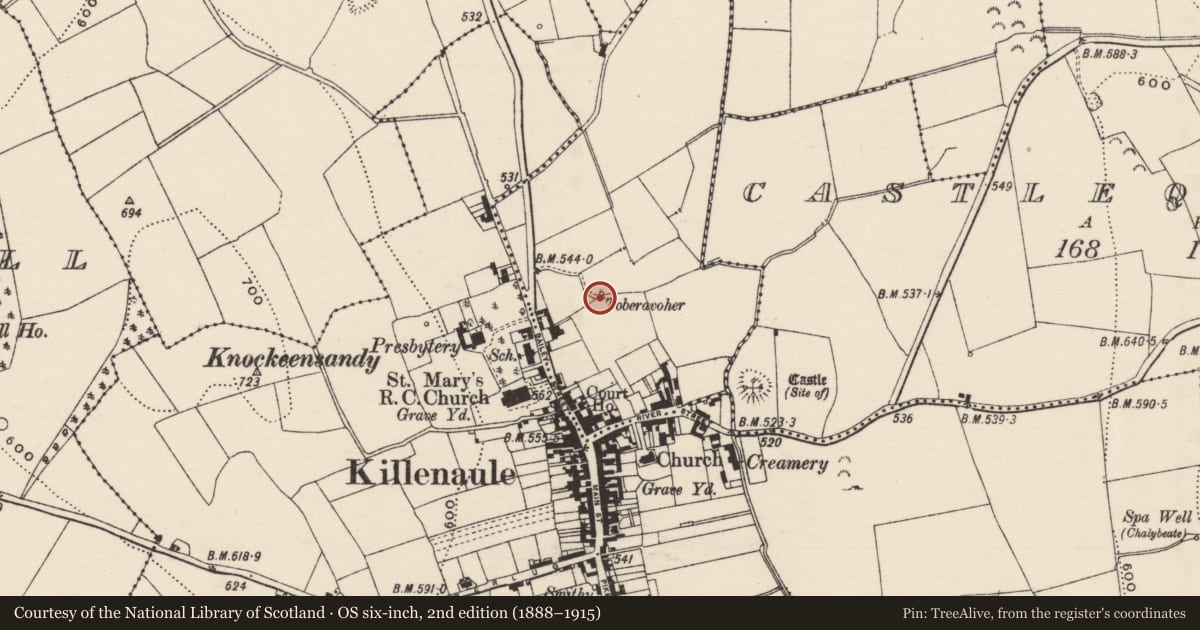 Ordnance Survey six-inch map, 2nd edition (1888–1915) covering the location of Well, Knockavadagh, County Tipperary South, with a pin at the register's coordinates