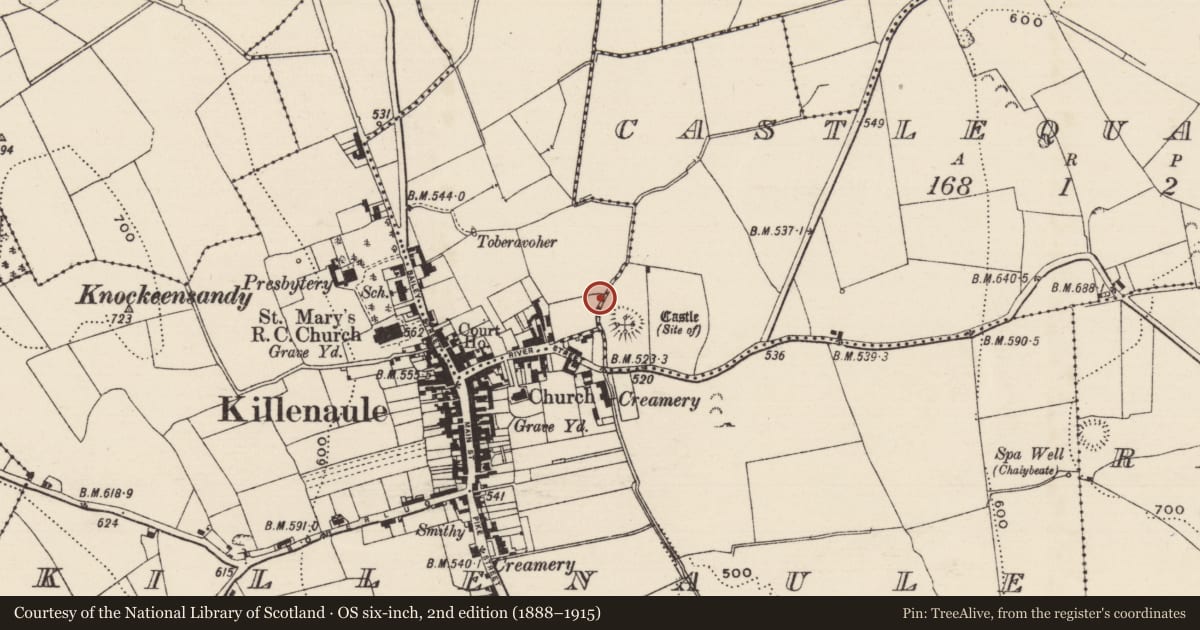 Ordnance Survey six-inch map, 2nd edition (1888–1915) covering the location of Well, Knockavadagh, County Tipperary South, with a pin at the register's coordinates