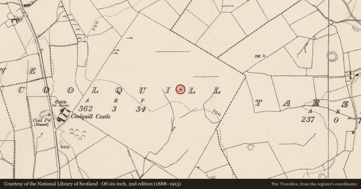 Ordnance Survey six-inch map, 2nd edition (1888–1915) covering the location of Castle - motte, Coolquill, County Tipperary South, with a pin at the register's coordinates