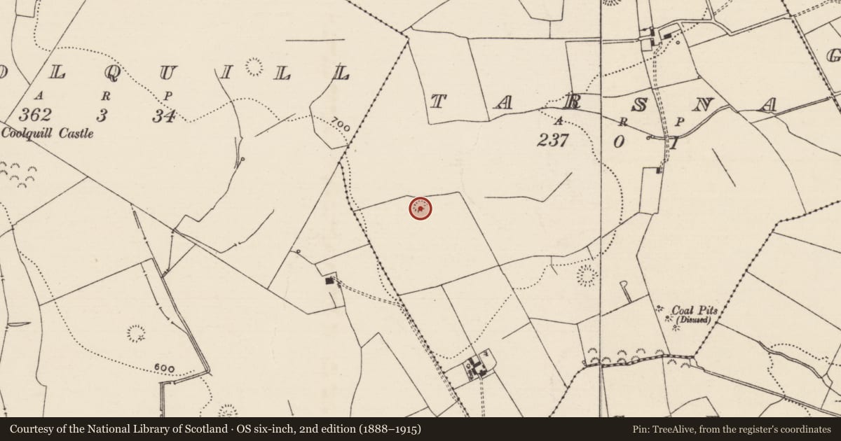 Ordnance Survey six-inch map, 2nd edition (1888–1915) covering the location of Enclosure, Tarsna, County Tipperary South, with a pin at the register's coordinates