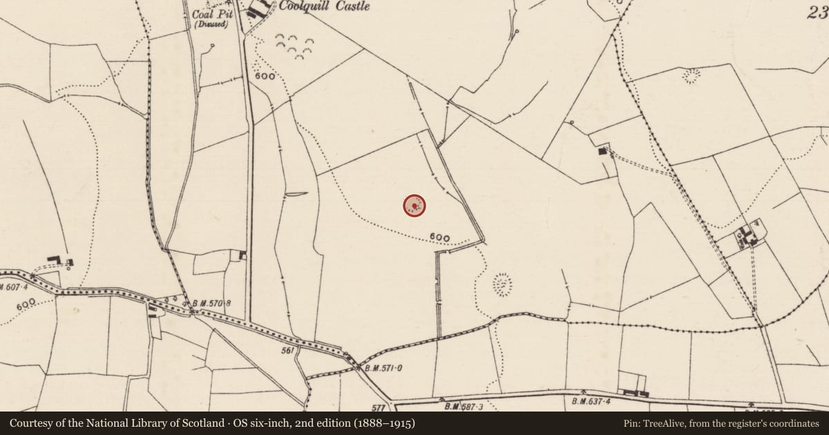 Ordnance Survey six-inch map, 2nd edition (1888–1915) covering the location of Castle - motte and bailey, Coolquill, County Tipperary South, with a pin at the register's coordinates