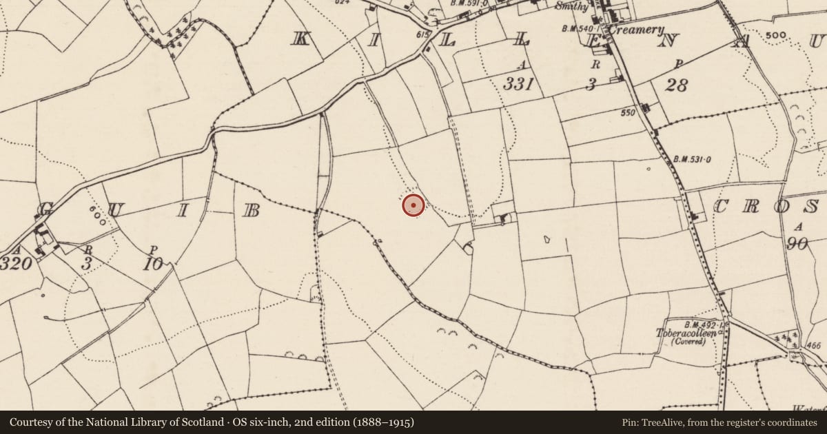 Ordnance Survey six-inch map, 2nd edition (1888–1915) covering the location of Moated site, Killenaule (Killenaule Par.), County Tipperary South, with a pin at the register's coordinates