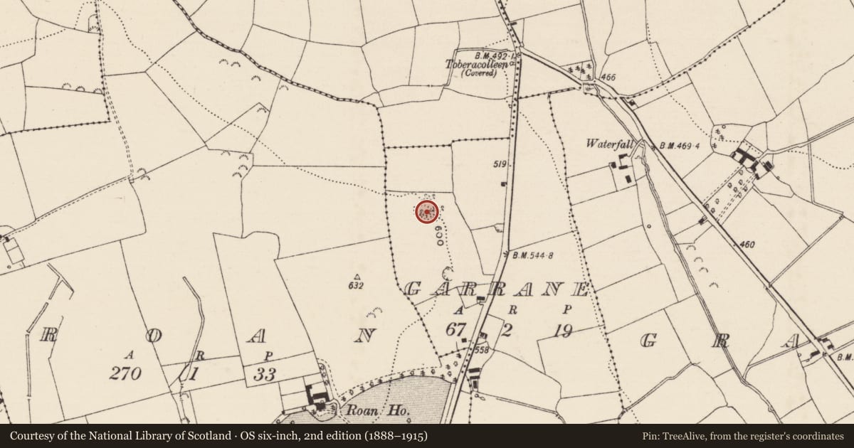Ordnance Survey six-inch map, 2nd edition (1888–1915) covering the location of Ringfort - rath, Garrane (Killenaule Par.), County Tipperary South, with a pin at the register's coordinates