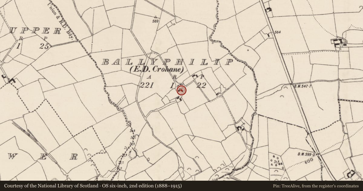 Ordnance Survey six-inch map, 2nd edition (1888–1915) covering the location of Enclosure, Ballyphilip (Crohane Par.), County Tipperary South, with a pin at the register's coordinates
