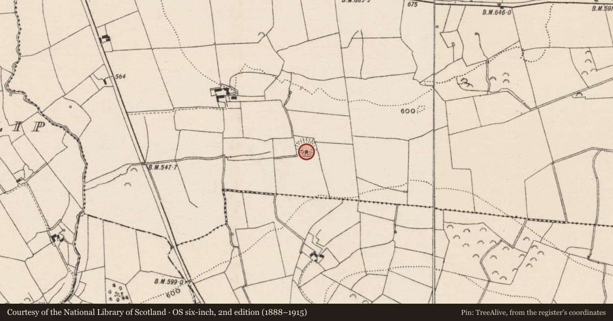 Ordnance Survey six-inch map, 2nd edition (1888–1915) covering the location of Ringfort - rath, Crohane Lower, County Tipperary South, with a pin at the register's coordinates
