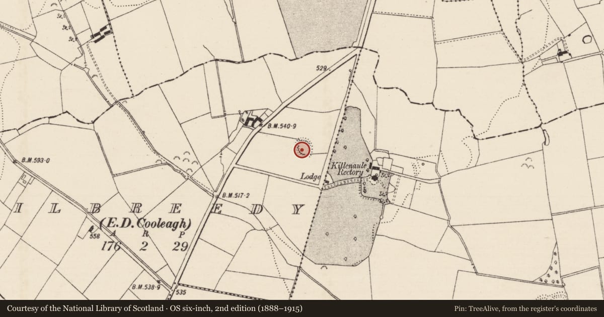 Ordnance Survey six-inch map, 2nd edition (1888–1915) covering the location of Ringfort - rath, Kilbreedy (Cooleagh Par.), County Tipperary South, with a pin at the register's coordinates
