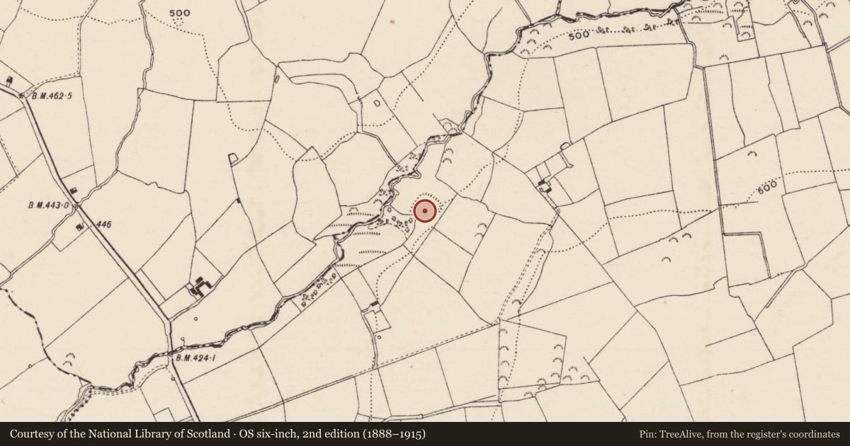 Ordnance Survey six-inch map, 2nd edition (1888–1915) covering the location of Enclosure, Kilkennybeg, County Tipperary South, with a pin at the register's coordinates