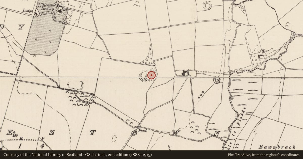 Ordnance Survey six-inch map, 2nd edition (1888–1915) covering the location of Ringfort - rath, Mortlestown (Cooleagh Par.), County Tipperary South, with a pin at the register's coordinates