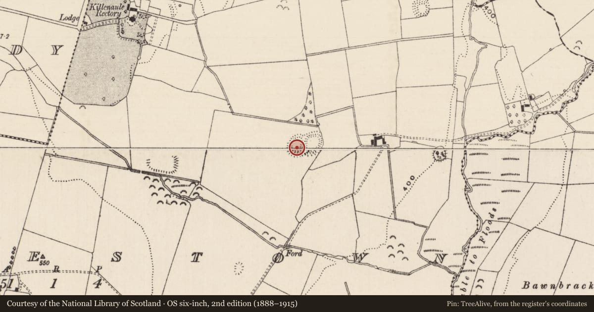 Ordnance Survey six-inch map, 2nd edition (1888–1915) covering the location of Ringfort - rath, Mortlestown (Cooleagh Par.), County Tipperary South, with a pin at the register's coordinates