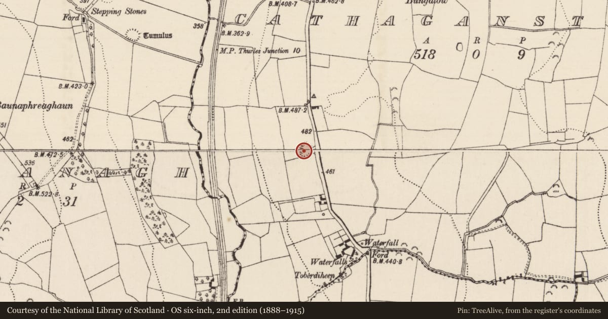 Ordnance Survey six-inch map, 2nd edition (1888–1915) covering the location of Ringfort - rath, Cathaganstown, County Tipperary South, with a pin at the register's coordinates