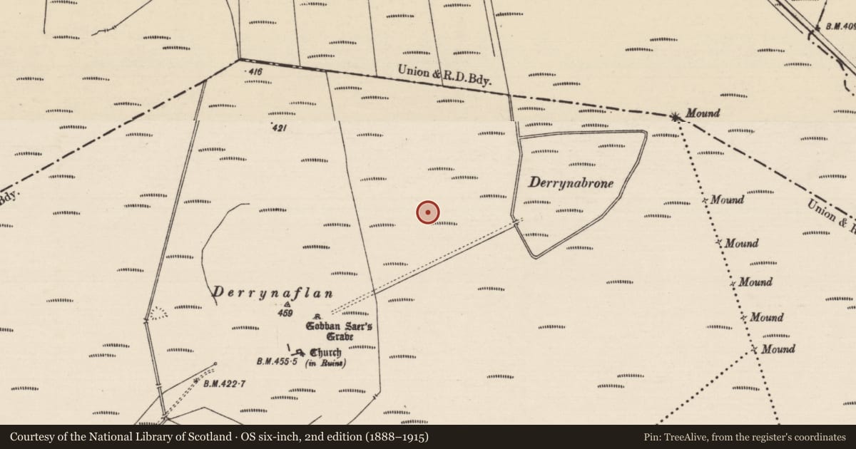 Ordnance Survey six-inch map, 2nd edition (1888–1915) covering the location of Road - unclassified togher, Lurgoe, County Tipperary South, with a pin at the register's coordinates