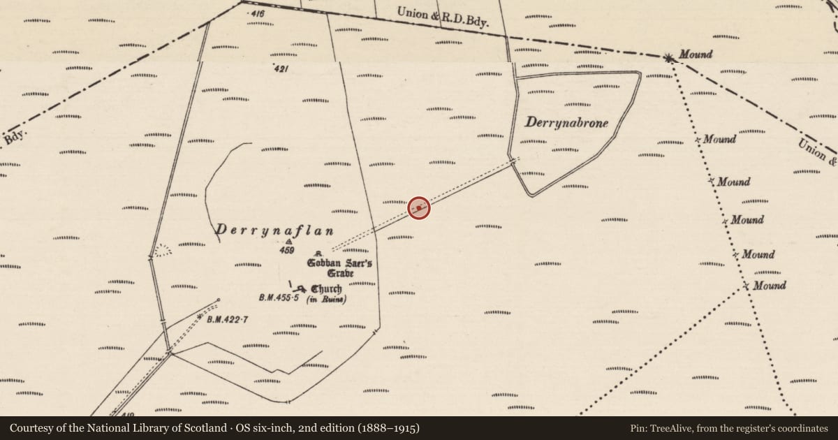 Ordnance Survey six-inch map, 2nd edition (1888–1915) covering the location of Road - class 1 togher, Lurgoe, County Tipperary South, with a pin at the register's coordinates