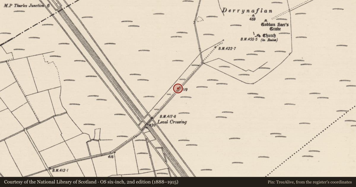 Ordnance Survey six-inch map, 2nd edition (1888–1915) covering the location of Road - unclassified togher, Lurgoe, County Tipperary South, with a pin at the register's coordinates