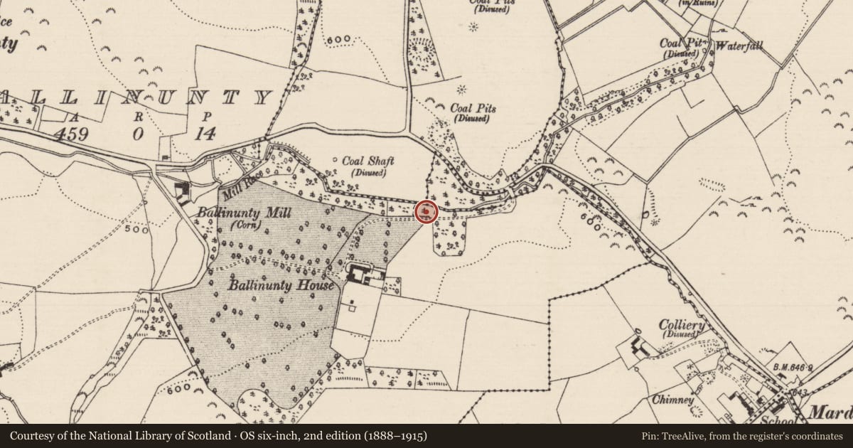 Ordnance Survey six-inch map, 2nd edition (1888–1915) covering the location of Mine, Ballinunty (Graystown Par.), Tullequane, County Tipperary South, with a pin at the register's coordinates
