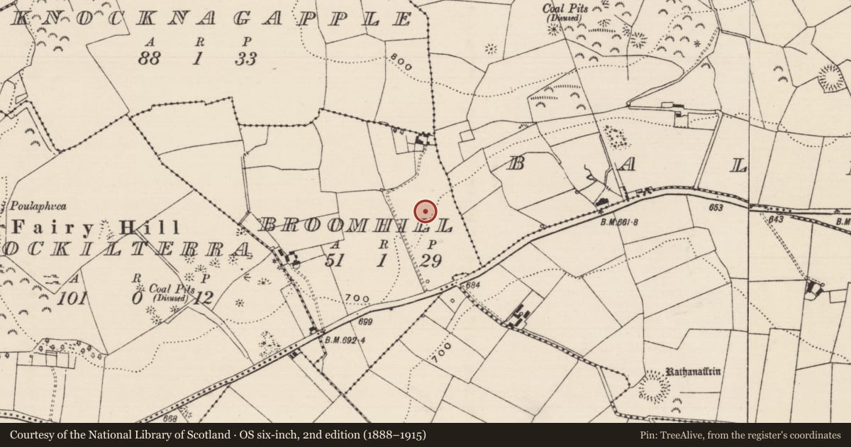Ordnance Survey six-inch map, 2nd edition (1888–1915) covering the location of Enclosure, Broomhill, County Tipperary South, with a pin at the register's coordinates