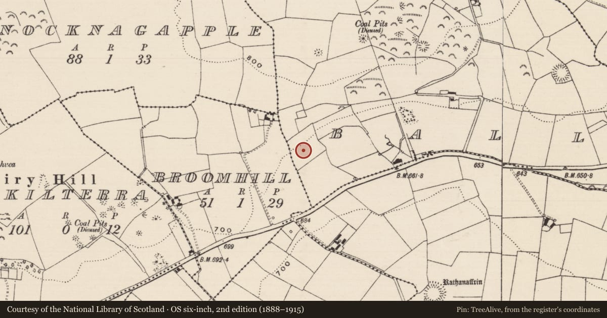 Ordnance Survey six-inch map, 2nd edition (1888–1915) covering the location of Enclosure, Ballincurry (Crohane Par.), County Tipperary South, with a pin at the register's coordinates