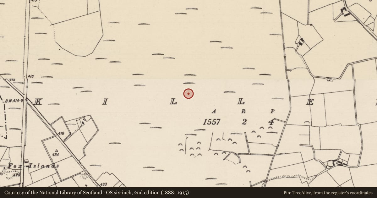 Ordnance Survey six-inch map, 2nd edition (1888–1915) covering the location of Road - class 1 togher, Killeen (Killenaule Par.), County Tipperary South, with a pin at the register's coordinates