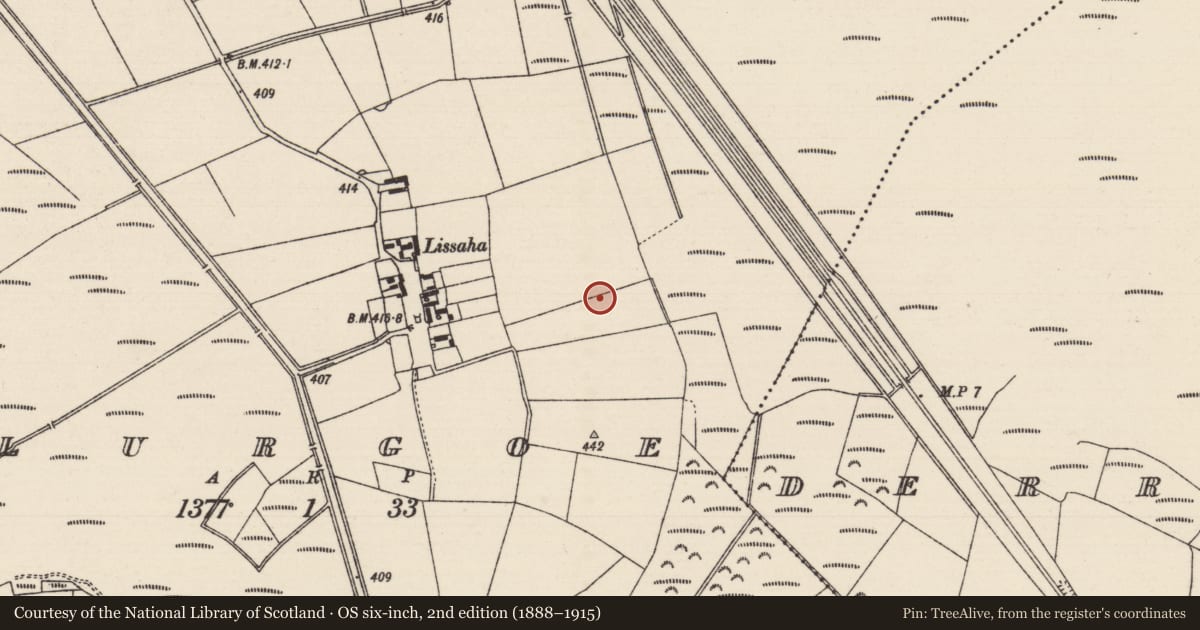 Ordnance Survey six-inch map, 2nd edition (1888–1915) covering the location of Field system, Lurgoe, County Tipperary South, with a pin at the register's coordinates