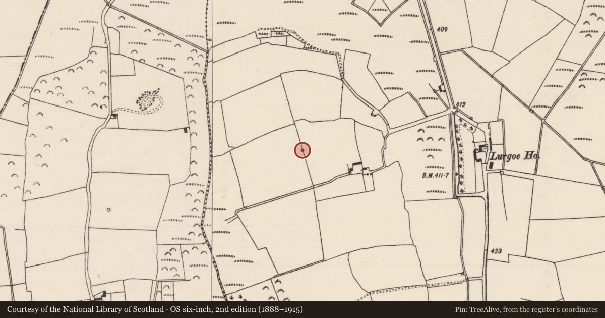 Ordnance Survey six-inch map, 2nd edition (1888–1915) covering the location of Enclosure, Lurgoe, County Tipperary South, with a pin at the register's coordinates