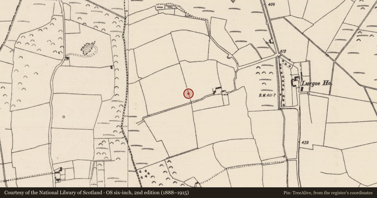 Ordnance Survey six-inch map, 2nd edition (1888–1915) covering the location of Enclosure, Lurgoe, County Tipperary South, with a pin at the register's coordinates