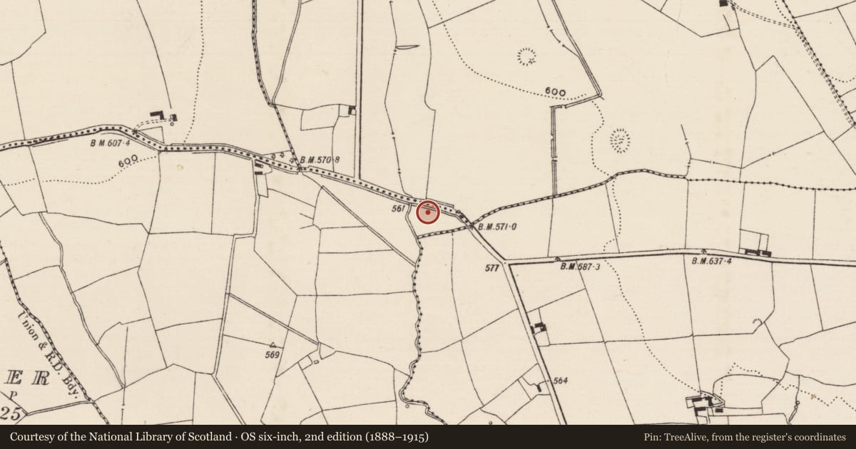 Ordnance Survey six-inch map, 2nd edition (1888–1915) covering the location of Fulacht fia, Ballyphilip (Crohane Par.), County Tipperary South, with a pin at the register's coordinates