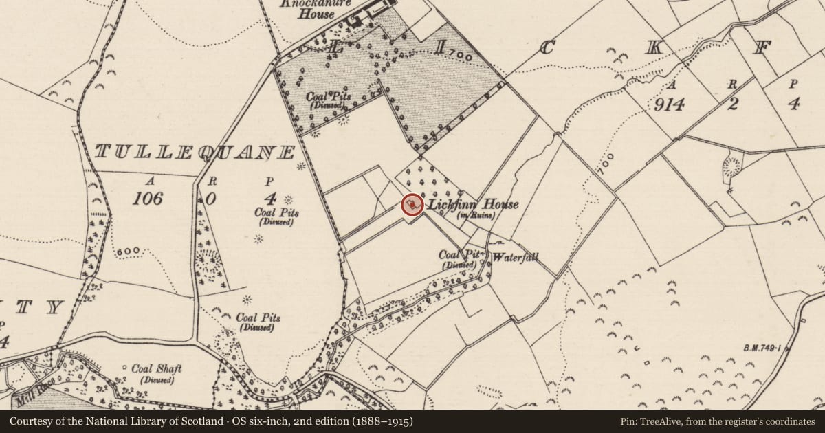 Ordnance Survey six-inch map, 2nd edition (1888–1915) covering the location of House - 17th century, Lickfinn (Crohane Par.), County Tipperary South, with a pin at the register's coordinates