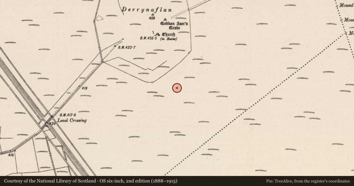 Ordnance Survey six-inch map, 2nd edition (1888–1915) covering the location of Road - class 3 togher, Lurgoe, County Tipperary South, with a pin at the register's coordinates