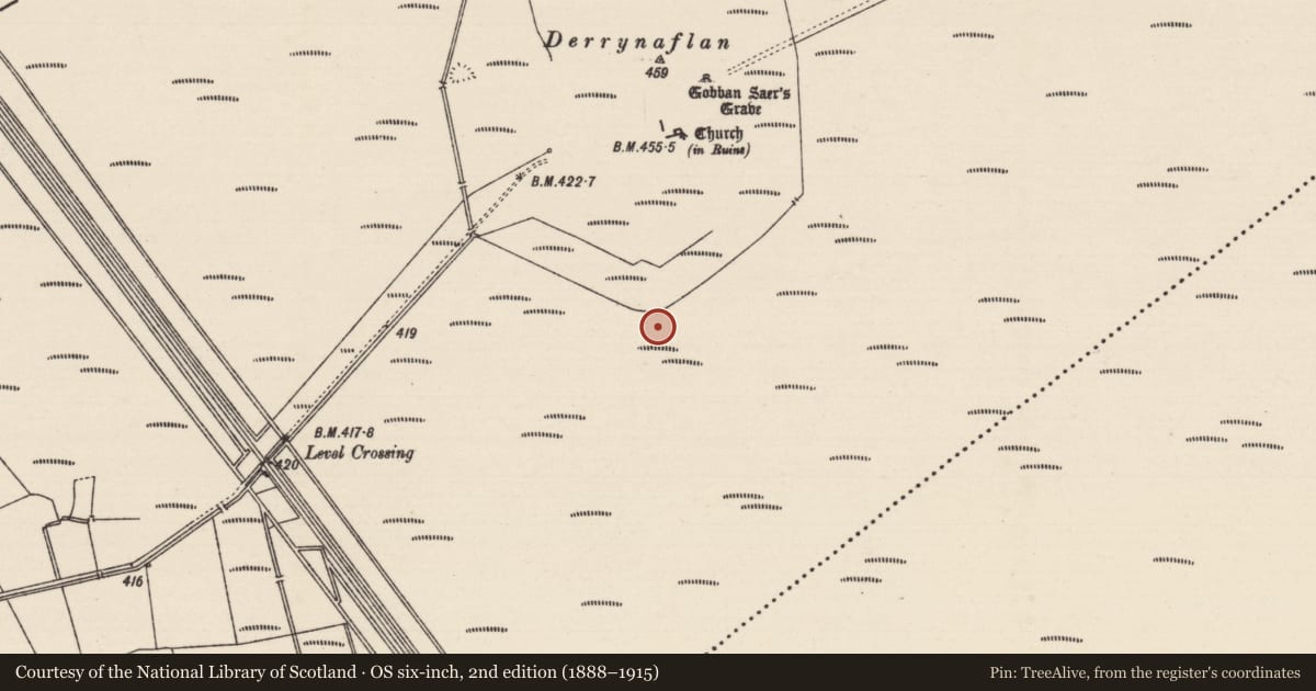 Ordnance Survey six-inch map, 2nd edition (1888–1915) covering the location of Road - class 3 togher, Lurgoe, County Tipperary South, with a pin at the register's coordinates