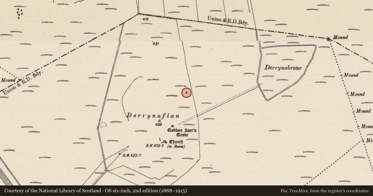 Ordnance Survey six-inch map, 2nd edition (1888–1915) covering the location of Road - class 1 togher, Lurgoe, County Tipperary South, with a pin at the register's coordinates