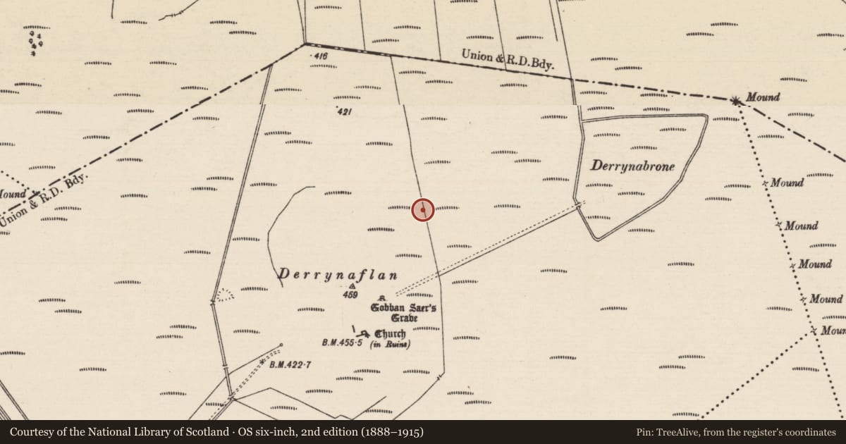 Ordnance Survey six-inch map, 2nd edition (1888–1915) covering the location of Structure - peatland, Lurgoe, County Tipperary South, with a pin at the register's coordinates