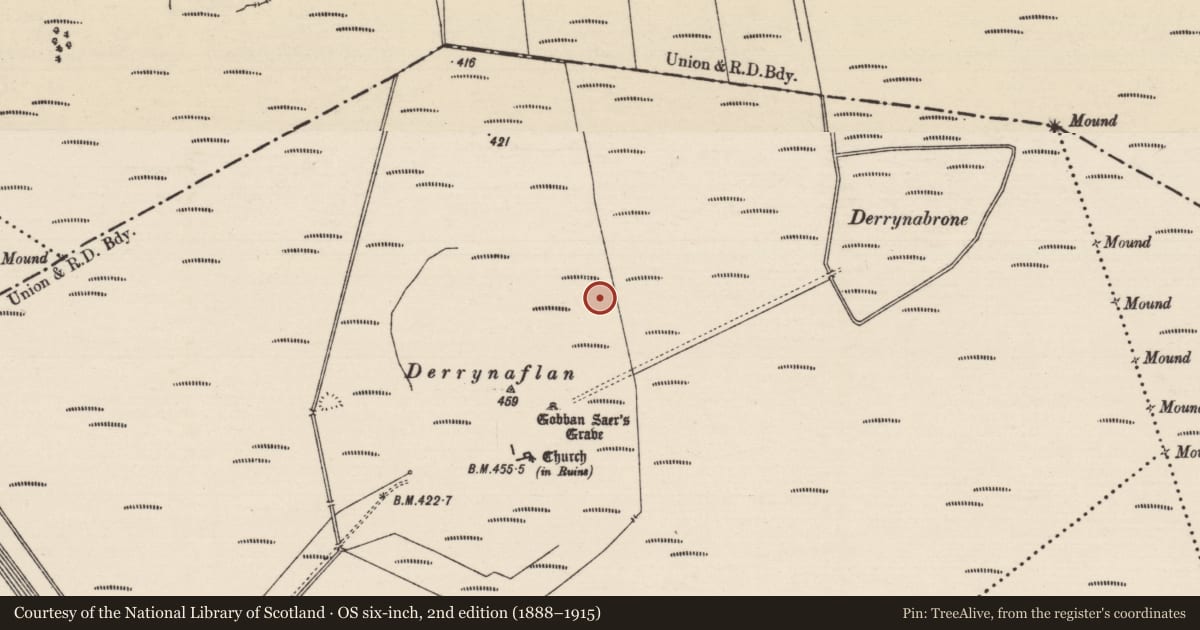 Ordnance Survey six-inch map, 2nd edition (1888–1915) covering the location of Structure - peatland, Lurgoe, County Tipperary South, with a pin at the register's coordinates