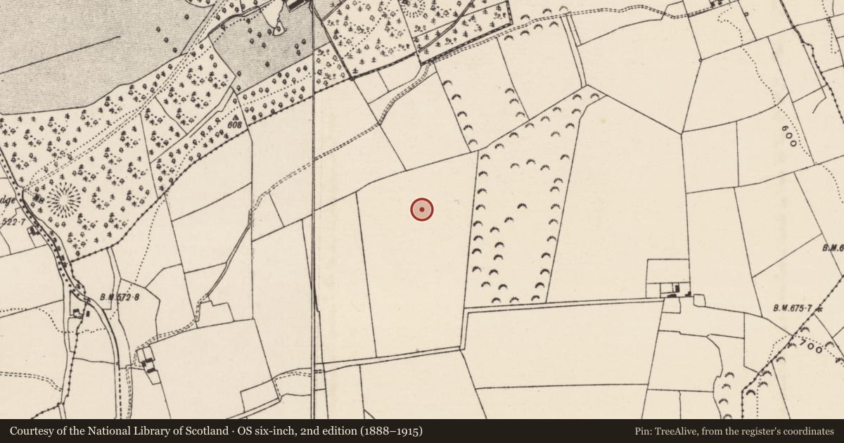 Ordnance Survey six-inch map, 2nd edition (1888–1915) covering the location of Hilltop enclosure, Ballaghboy (Graystown Par.), County Tipperary South, with a pin at the register's coordinates