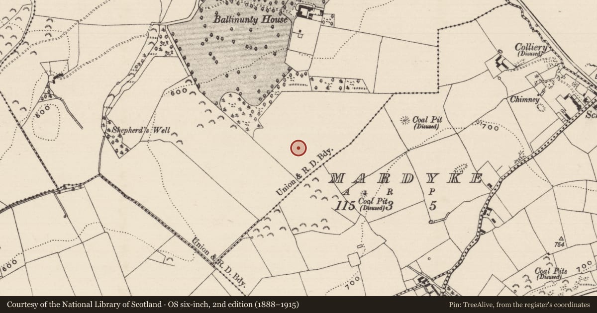 Ordnance Survey six-inch map, 2nd edition (1888–1915) covering the location of Enclosure, Ballinunty (Graystown Par.), County Tipperary South, with a pin at the register's coordinates