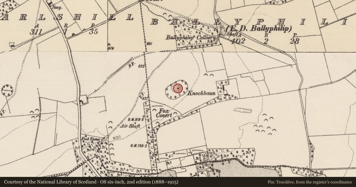 Ordnance Survey six-inch map, 2nd edition (1888–1915) covering the location of Enclosure, Ballyphilip (Ballingarry Par., South Riding), County Tipperary South, with a pin at the register's coordinates