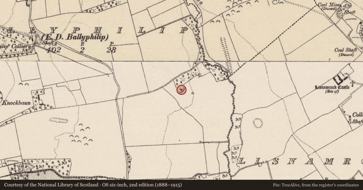 Ordnance Survey six-inch map, 2nd edition (1888–1915) covering the location of Ringfort - rath, Ballyphilip (Ballingarry Par., South Riding), County Tipperary South, with a pin at the register's coordinates