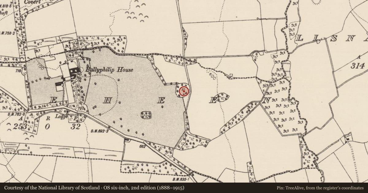 Ordnance Survey six-inch map, 2nd edition (1888–1915) covering the location of Designed landscape - tree-ring, Killeheen, County Tipperary South, with a pin at the register's coordinates
