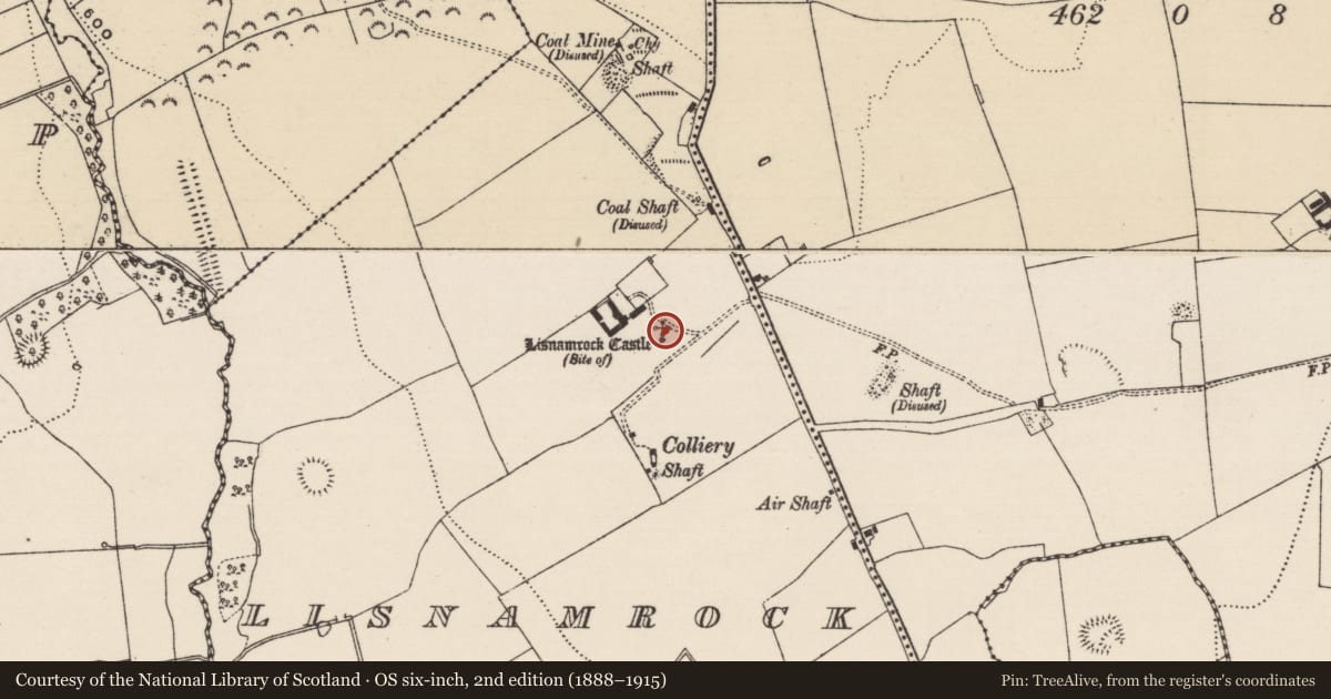 Ordnance Survey six-inch map, 2nd edition (1888–1915) covering the location of Castle - unclassified, Lisnamrock, County Tipperary South, with a pin at the register's coordinates