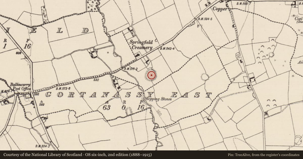 Ordnance Survey six-inch map, 2nd edition (1888–1915) covering the location of Ringfort - rath, Lisnamrock, County Tipperary South, with a pin at the register's coordinates
