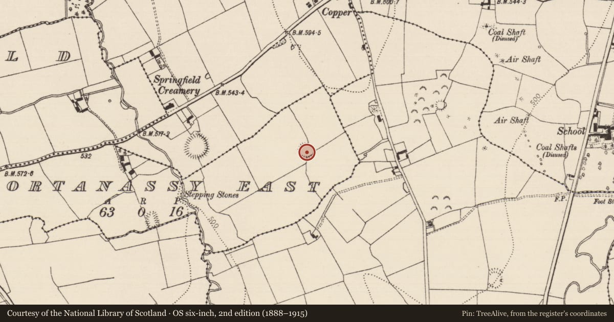 Ordnance Survey six-inch map, 2nd edition (1888–1915) covering the location of Ringfort - rath, Gortanassy East, County Tipperary South, with a pin at the register's coordinates