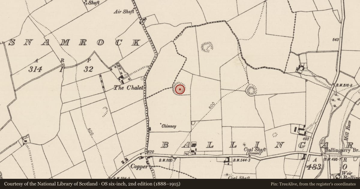 Ordnance Survey six-inch map, 2nd edition (1888–1915) covering the location of Ringfort - rath, Ballingarry Lower, County Tipperary South, with a pin at the register's coordinates